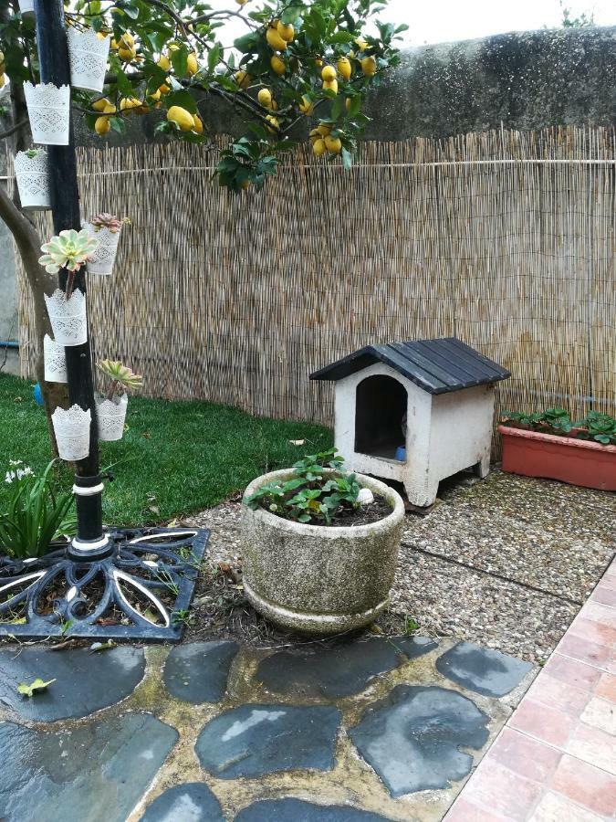 Lourenco House Póvoa de Varzim Dış mekan fotoğraf